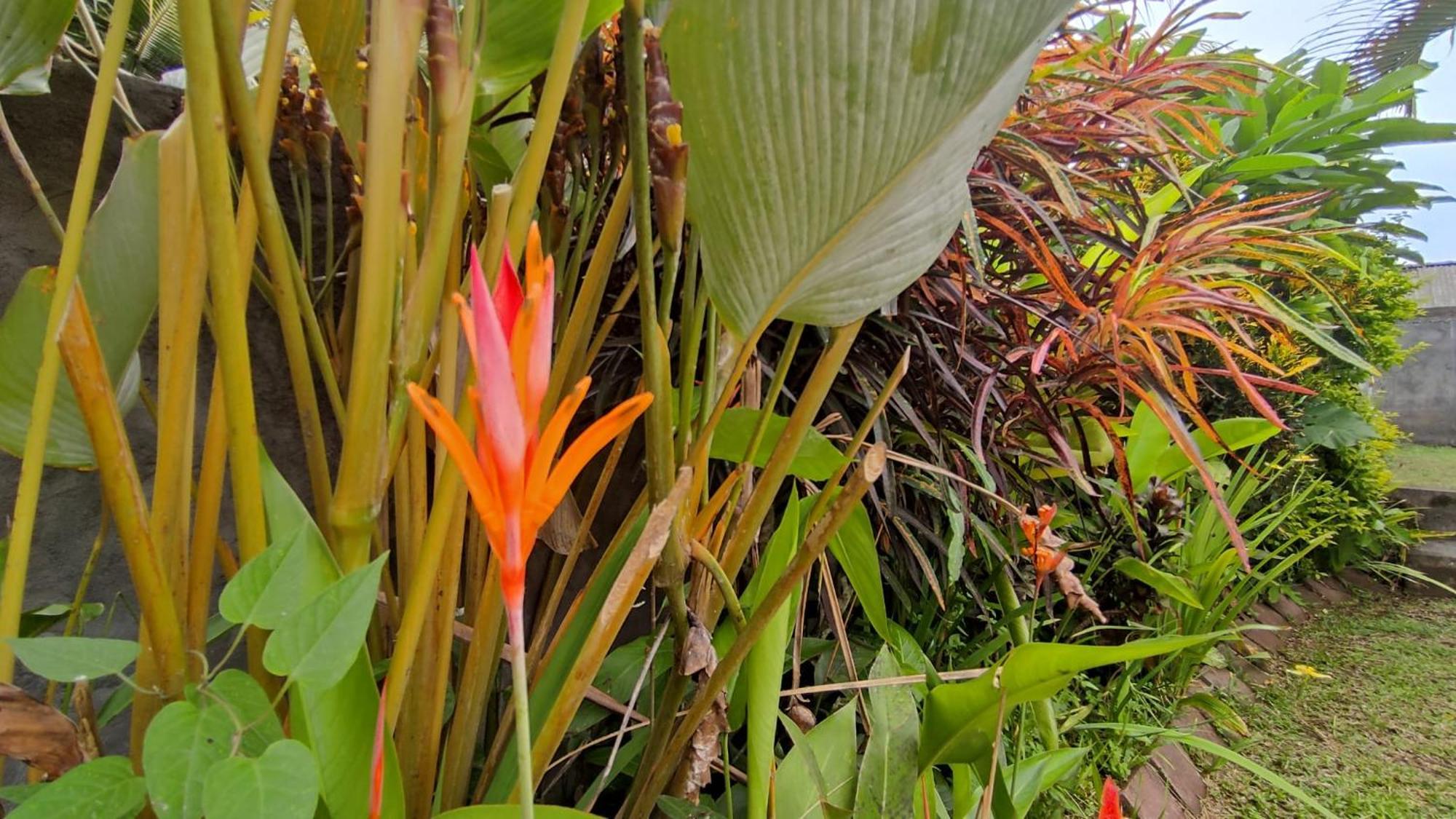 Casa vacanze Paya - Ubud